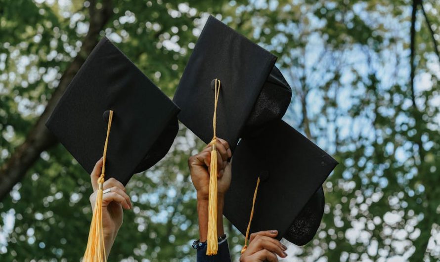 Купить диплом с реестром быстро и надежно